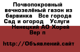 Почвопокровный, вечнозелёный газон из барвинка - Все города Сад и огород » Услуги   . Ненецкий АО,Хорей-Вер п.